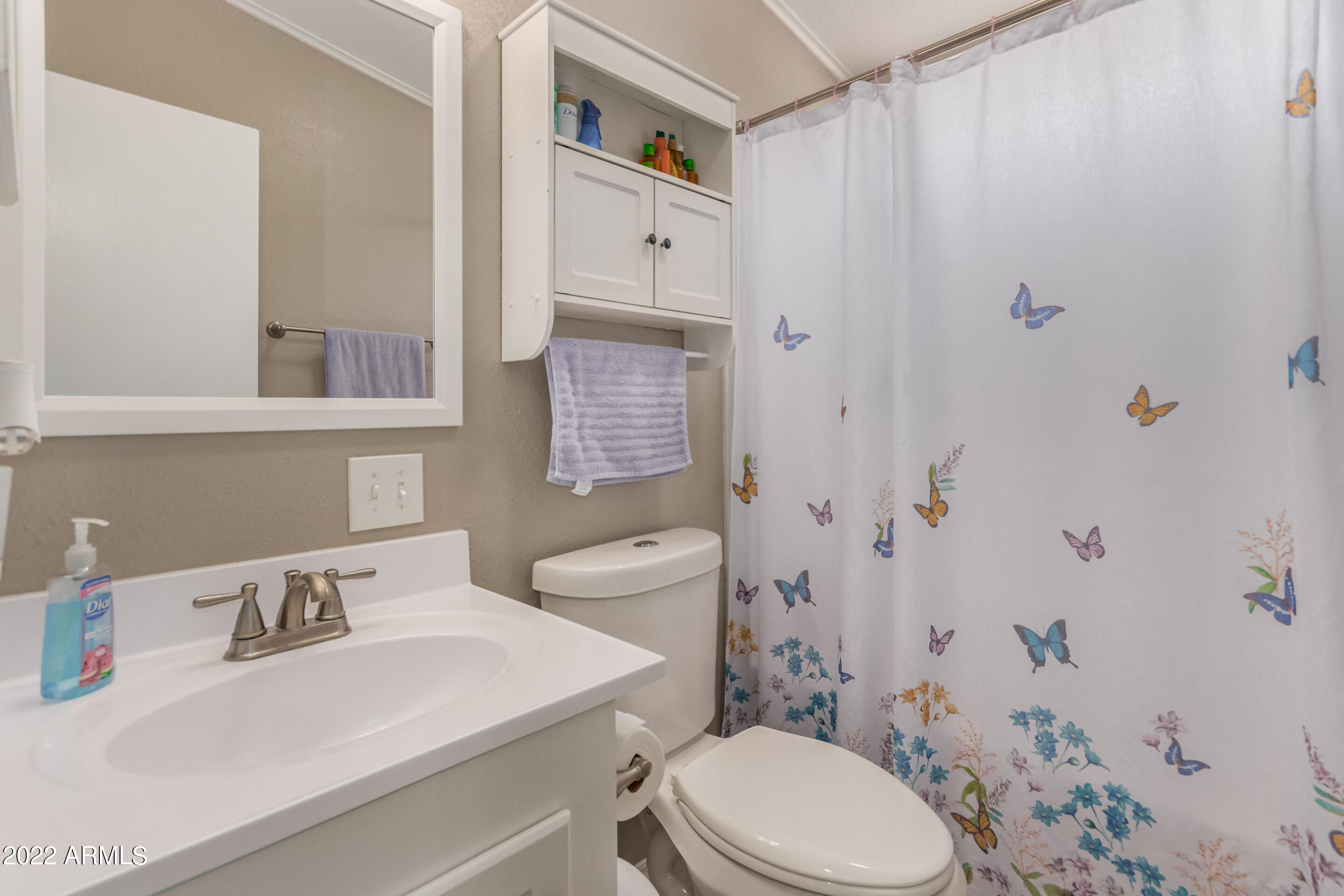 296 South Cactus Road Apache Junction, AZ 85119 - Photo 27 of 38 27 - Cactus