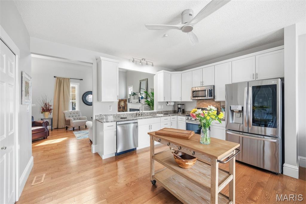 3204 Rue Royale Way St. Charles, MO 63301 - Photo 10 of 63