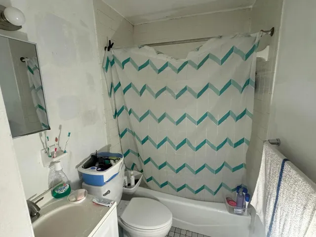 a white toilet sitting next to a shower curtain