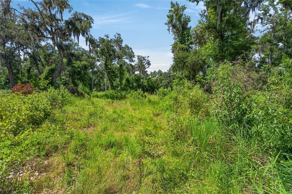 672 Highway Lithia Lithia, FL 33547 - Photo 19 of 24