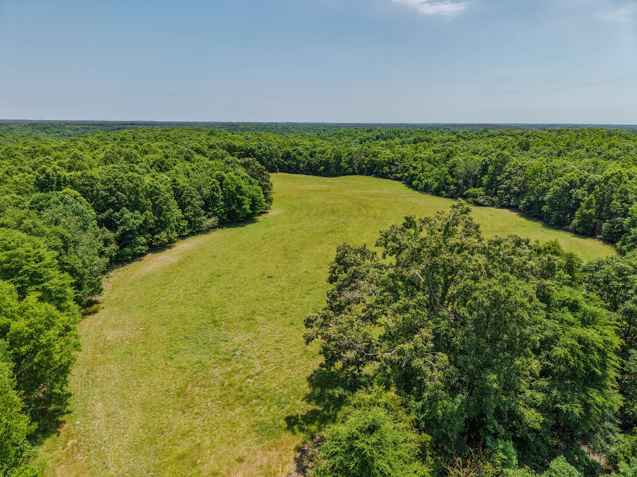 0 Johnson Road Lutts, TN 38471 - Photo 8 of 68 Gallery Image 8