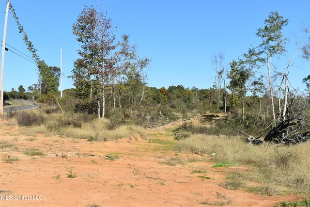 $40,000 | 4 Marianna Road, Holly Springs, MS 38635