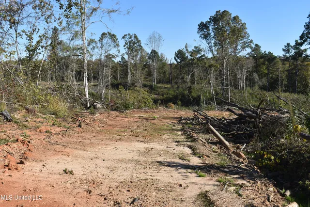 $40,000 | 4 Marianna Road, Holly Springs, MS 38635