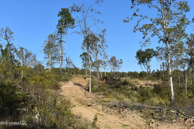 $40,000 | 4 Marianna Road, Holly Springs, MS 38635