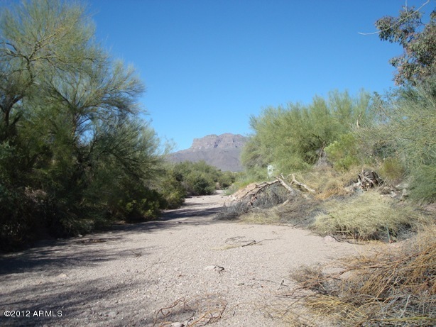 4994 South Kings Ranch Road Gold Canyon, AZ 85118 - Photo 13 of 14 045
