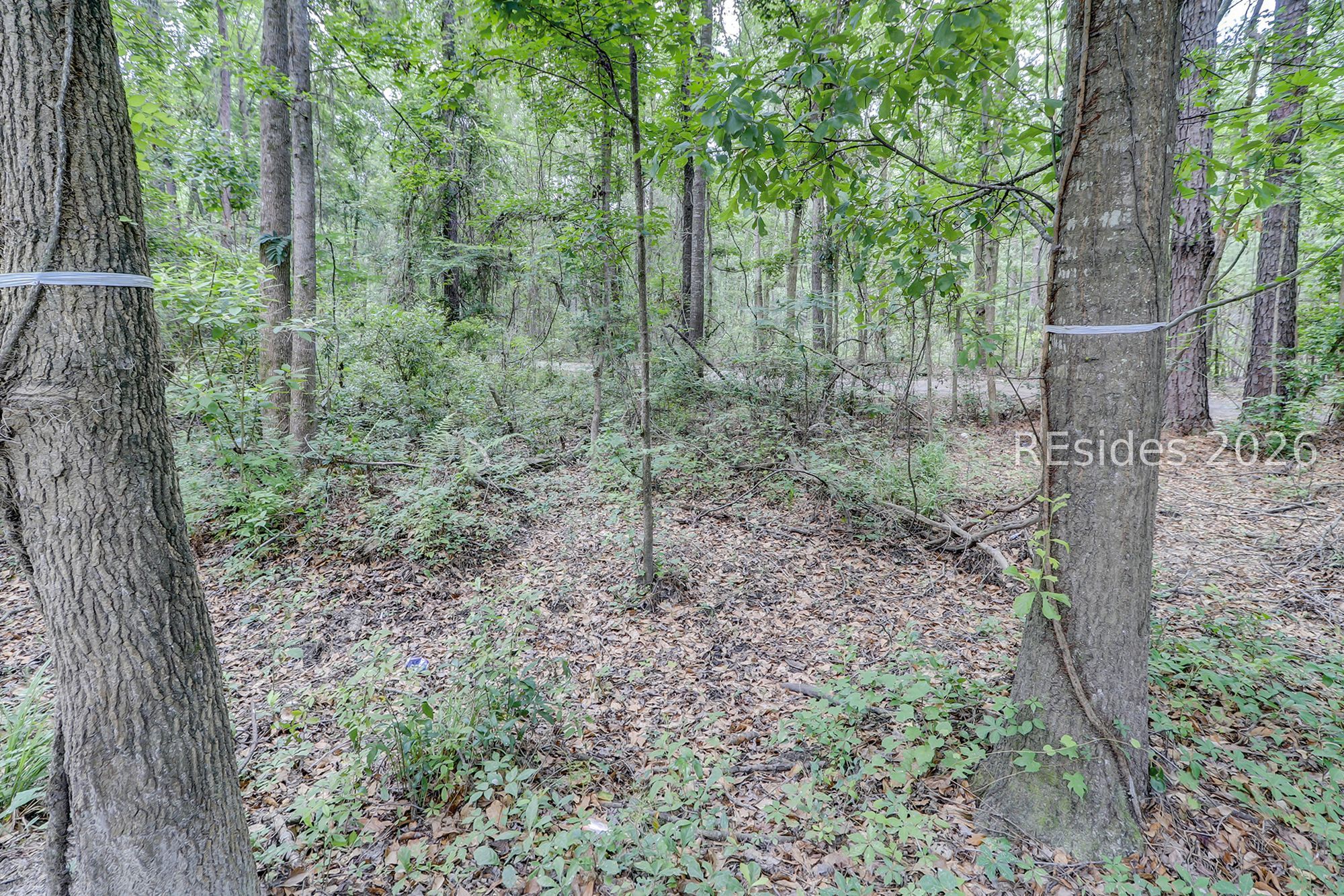 29 Davis Court Bluffton, SC 29910 - Photo 7 of 30