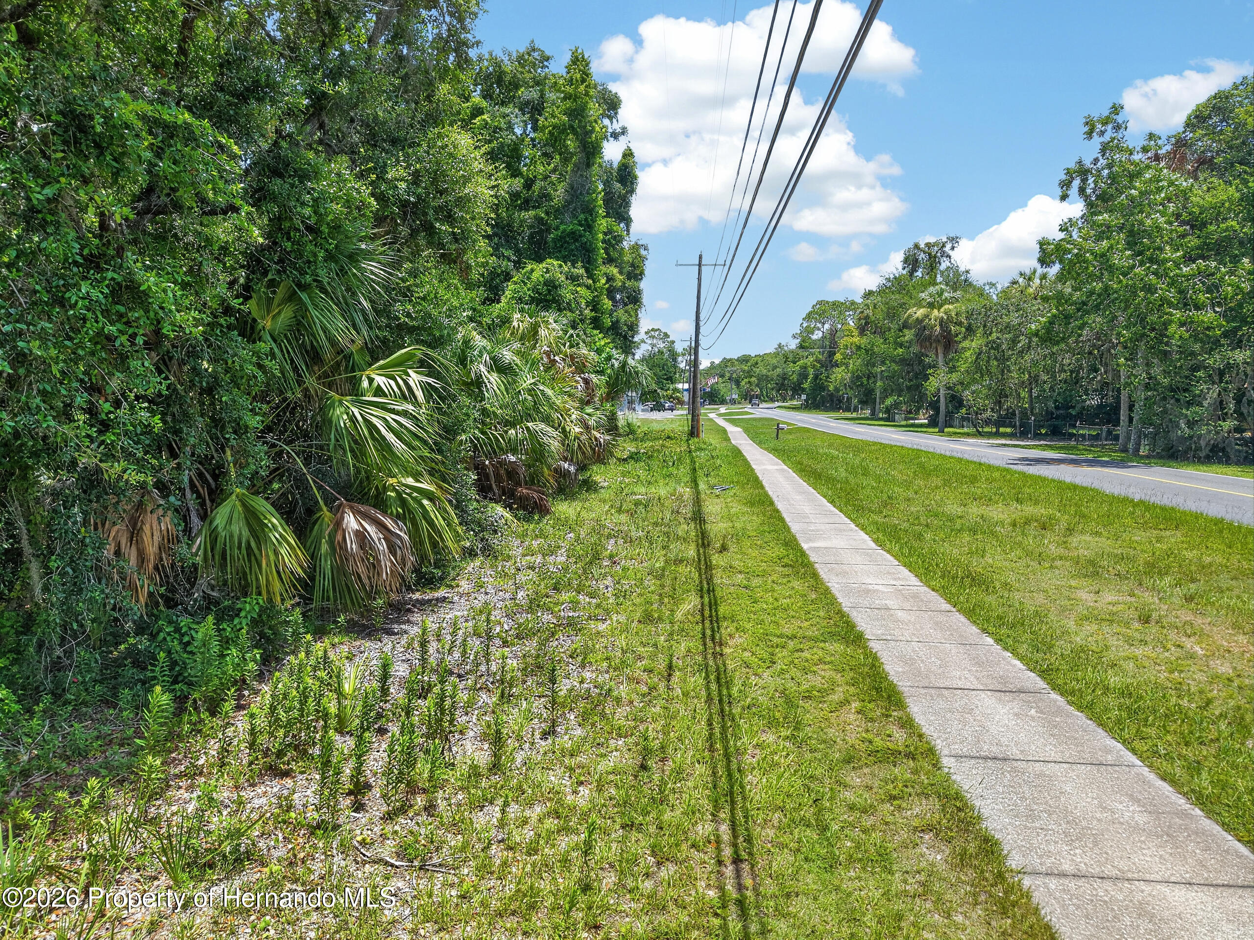 0 Highway 40 West Inglis, FL 34449 - Photo 2 of 8 a view of a yard with plants