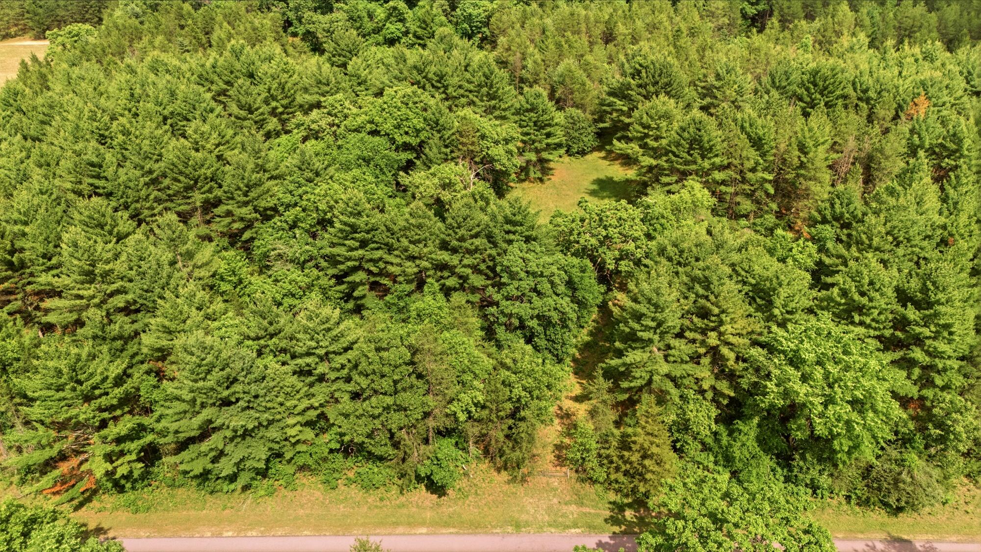 7020 Cardinal Road Little Falls, WI 54656 - Photo 14 of 18 033_dji_20260609152432_0143_d