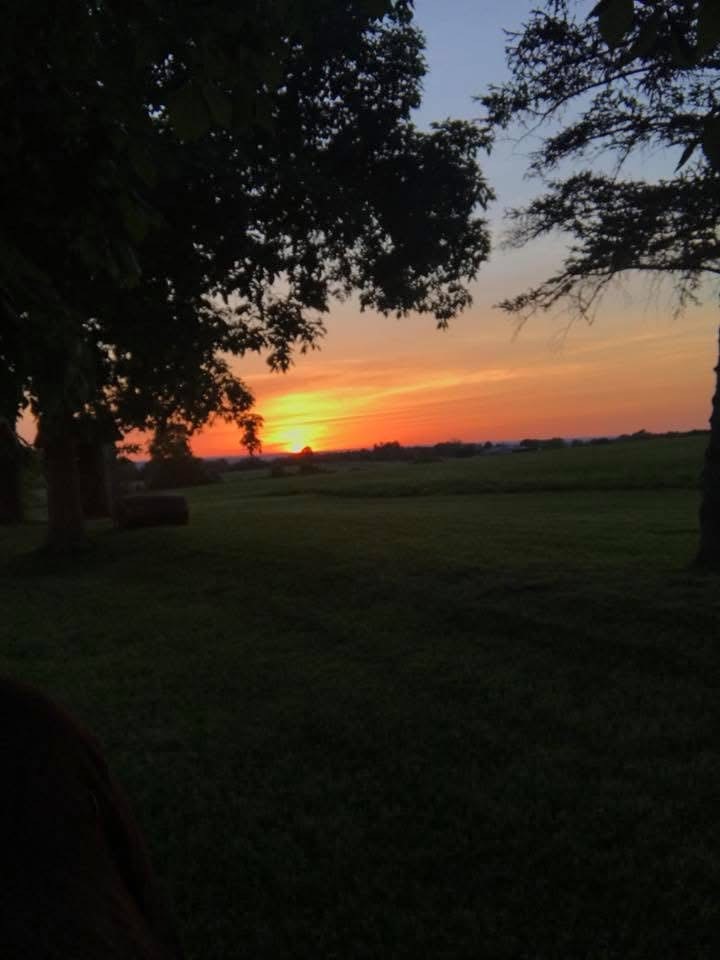 4024 Rock Spring Hill Road West Sparta, NY 14437 - Photo 21 of 22