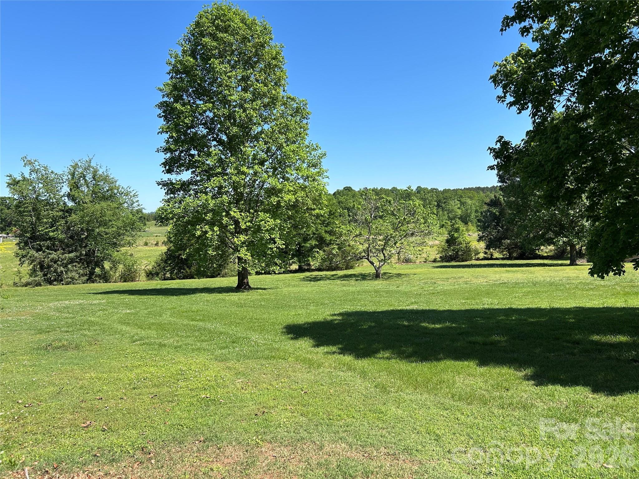 336 Bridges Road Blacksburg, SC 29702 - Photo 26 of 26 a view of a grassy field with trees