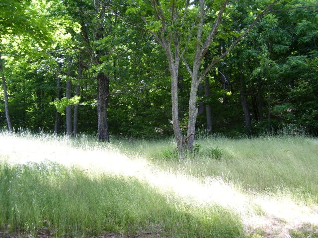 316 Ransey Woodring Road Todd, NC 28684 - Photo 6 of 12 Gallery Image 6