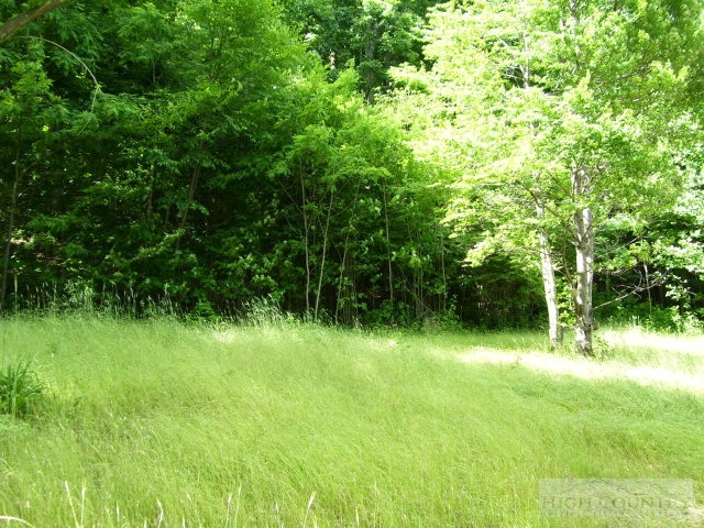 316 Ransey Woodring Road Todd, NC 28684 - Photo 7 of 12 Gallery Image 7