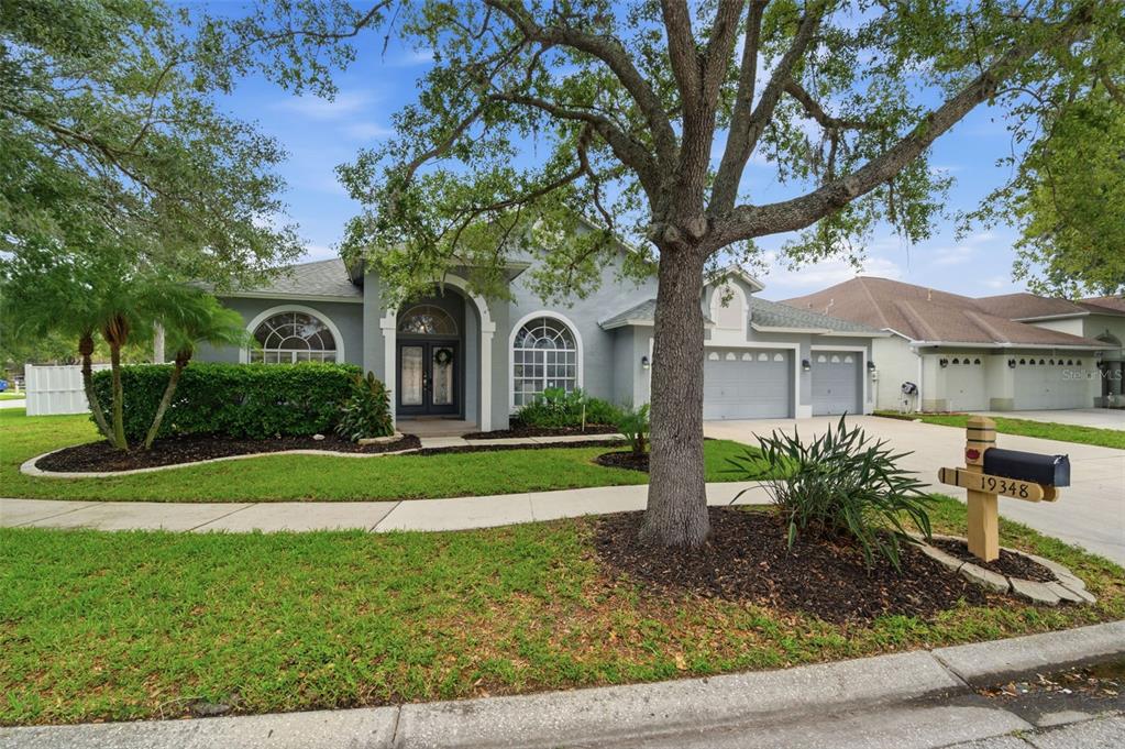 19348 Wind Dancer Street Lutz, FL 33558 - Photo 81 of 83