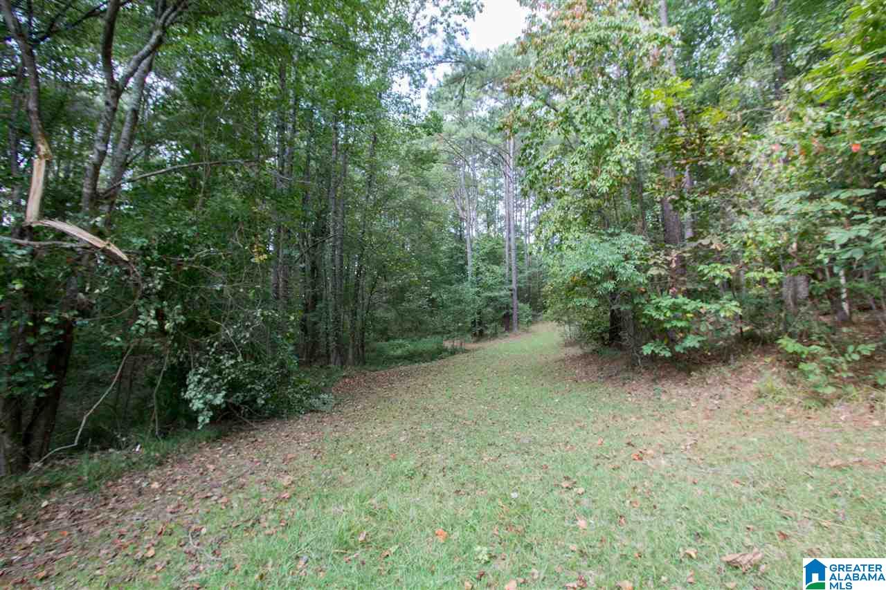 12428 McMath Trail McCalla, AL 35111 - Photo 39 of 42