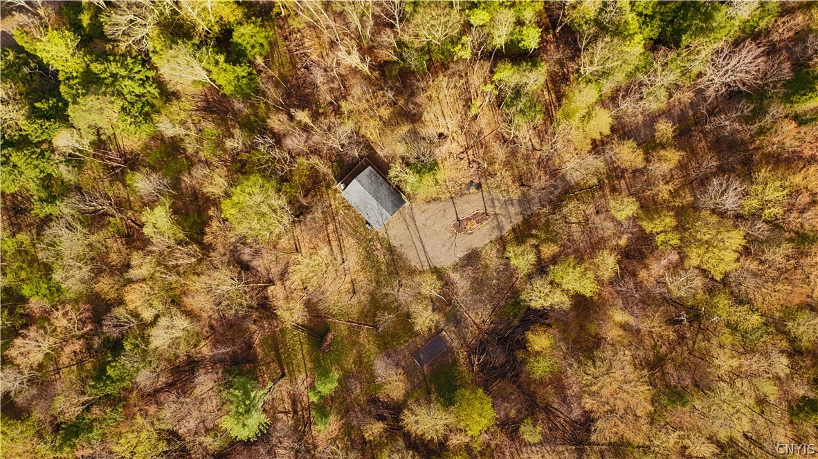 4456 Palmer Road Taberg, NY 13471 - Photo 2 of 35