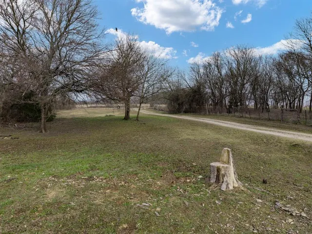 a view of a field with trees