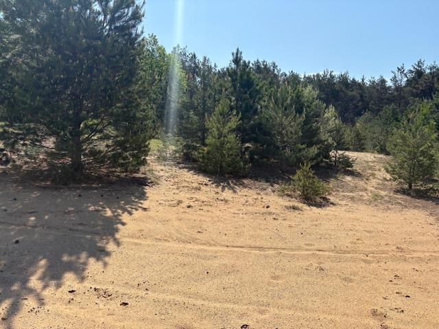 Parcel F 2 1/2 Road, Unit LOT: F Buckley, MI 49620 - Photo 8 of 9