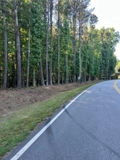 46 Davis Road Hiram, GA 30141 - Photo 15 of 17 a view of a park with large trees