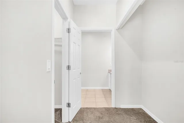 a view of backyard with large trees and flower plants