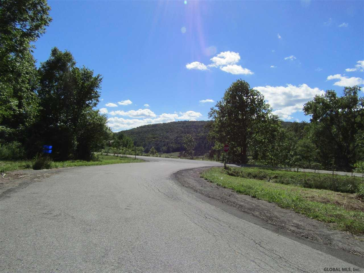 106 Windy Ridge Road Broome, NY 12122 - Photo 1 of 7 Photo 1