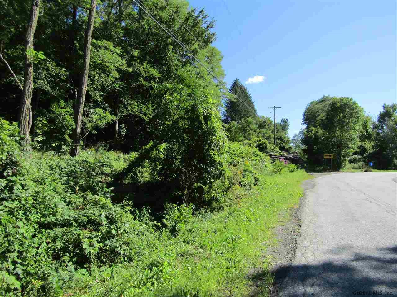 106 Windy Ridge Road Broome, NY 12122 - Photo 2 of 7 Photo 2