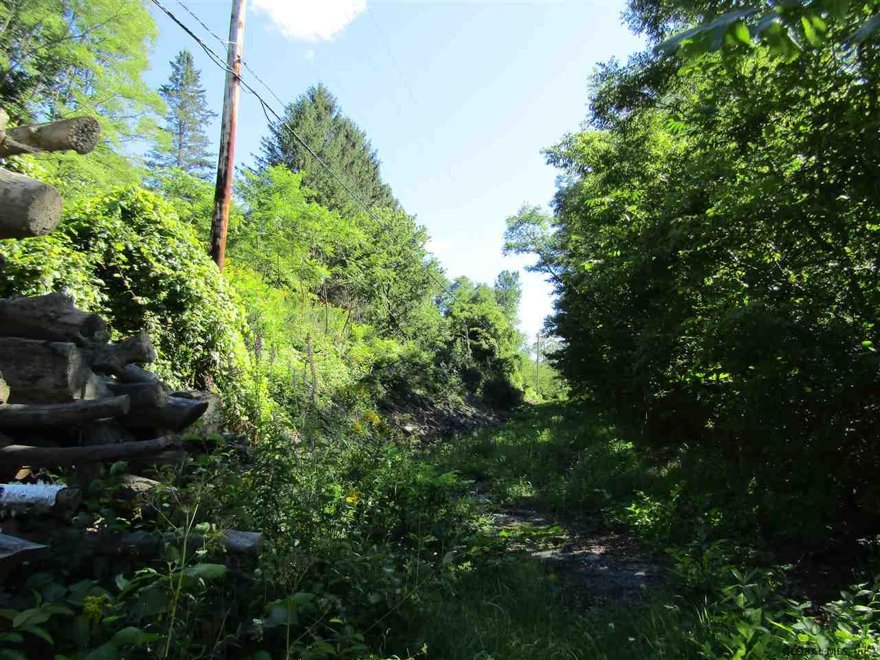 106 Windy Ridge Road Broome, NY 12122 - Photo 4 of 7 Photo 4