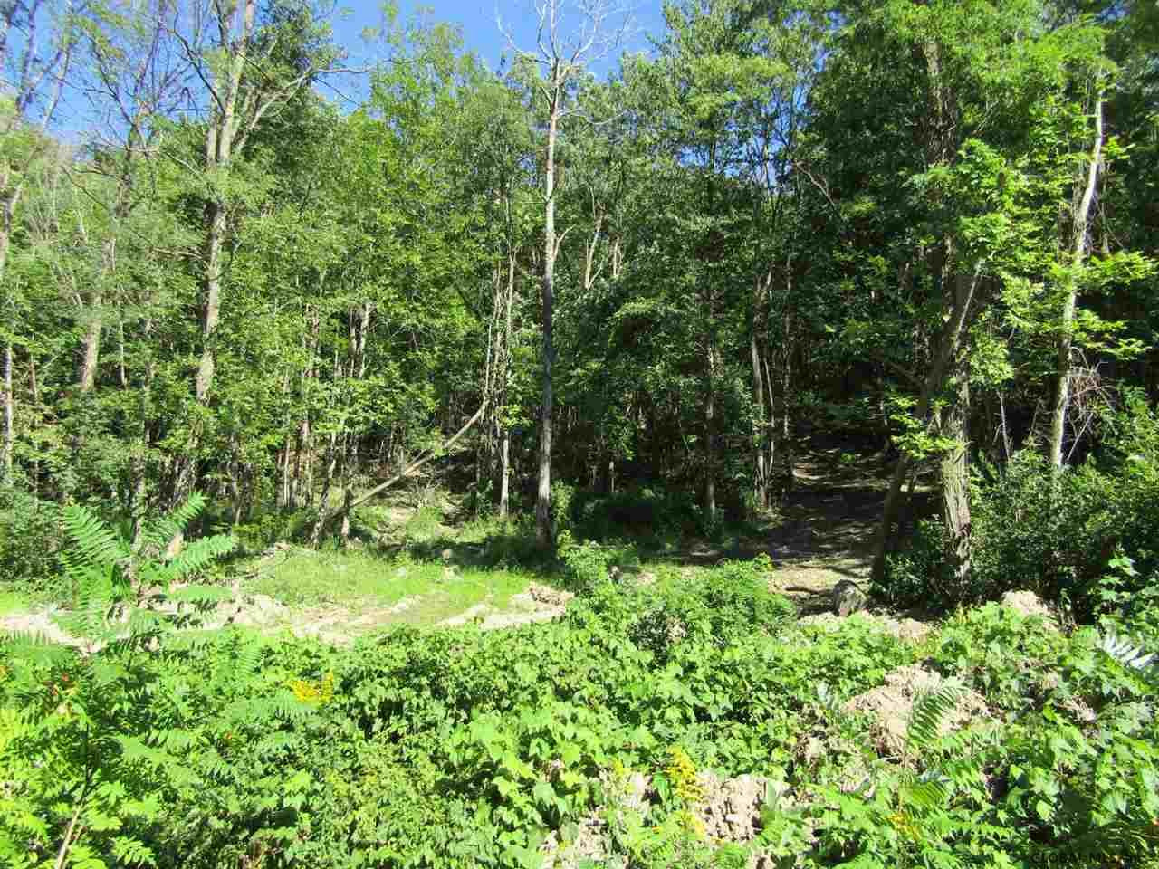 106 Windy Ridge Road Broome, NY 12122 - Photo 5 of 7 Photo 5