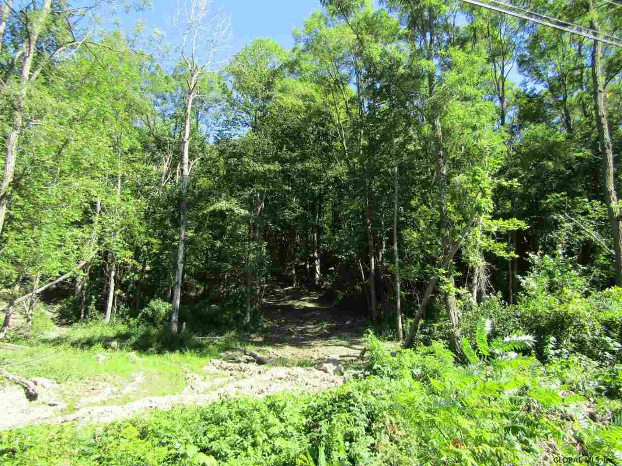 106 Windy Ridge Road Broome, NY 12122 - Photo 6 of 7 Photo 6