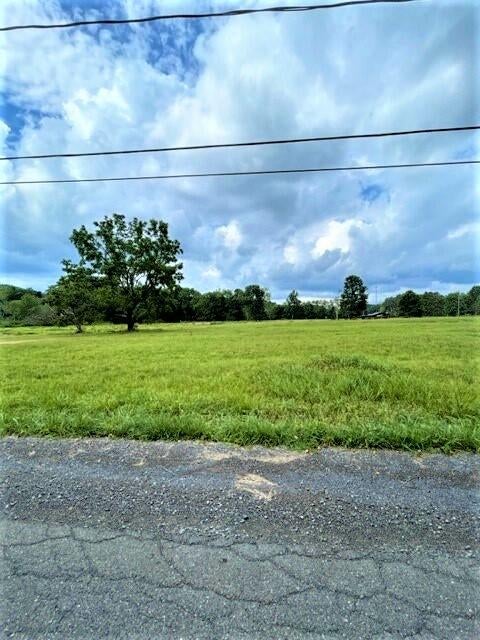 Smoot School Road Smoot, WV 24977 - Photo 4 of 7 Gallery Image 4