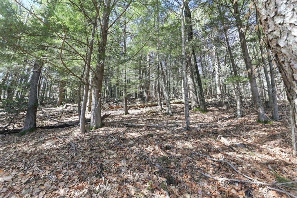 0 North Leverett Road Montague, MA 01351 - Photo 8 of 18
