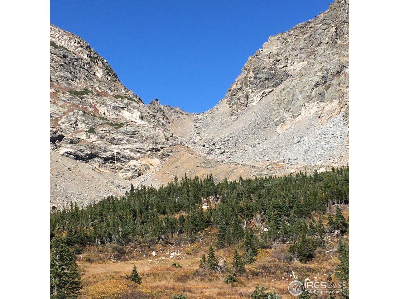 Undisclosed Address Nederland, CO 80466 - Photo 6 of 10 a view of a snow with tall trees