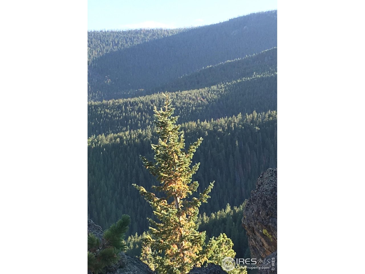 Undisclosed Address Nederland, CO 80466 - Photo 7 of 10 a picture of a door of a house