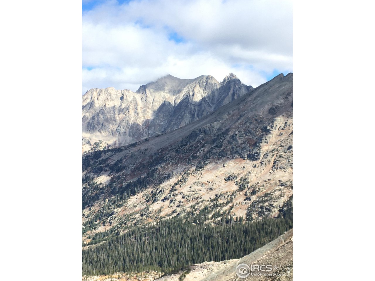 Undisclosed Address Nederland, CO 80466 - Photo 8 of 10 a view of a yard