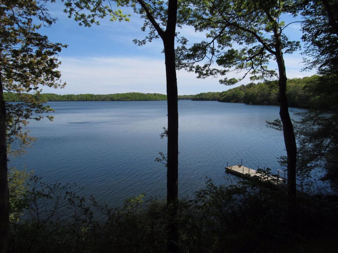 248 Pimlico Pond Road Mashpee, MA 02649 - Photo 1 of 22 a view of lake from yard