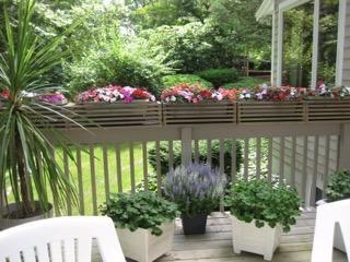 248 Pimlico Pond Road Mashpee, MA 02649 - Photo 21 of 22 a front view of a house with a yard