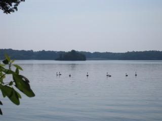 248 Pimlico Pond Road Mashpee, MA 02649 - Photo 22 of 22 a view of a lake view