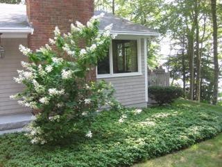 248 Pimlico Pond Road Mashpee, MA 02649 - Photo 6 of 22 a view of a house with a tree