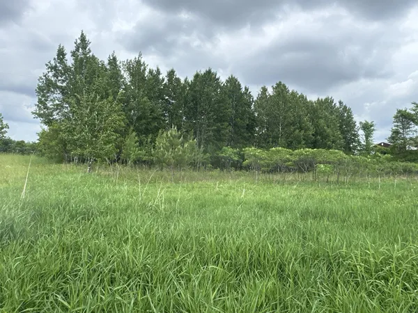 $40,000 | 10 10 1/2 Avenue, Clayton, WI 54004