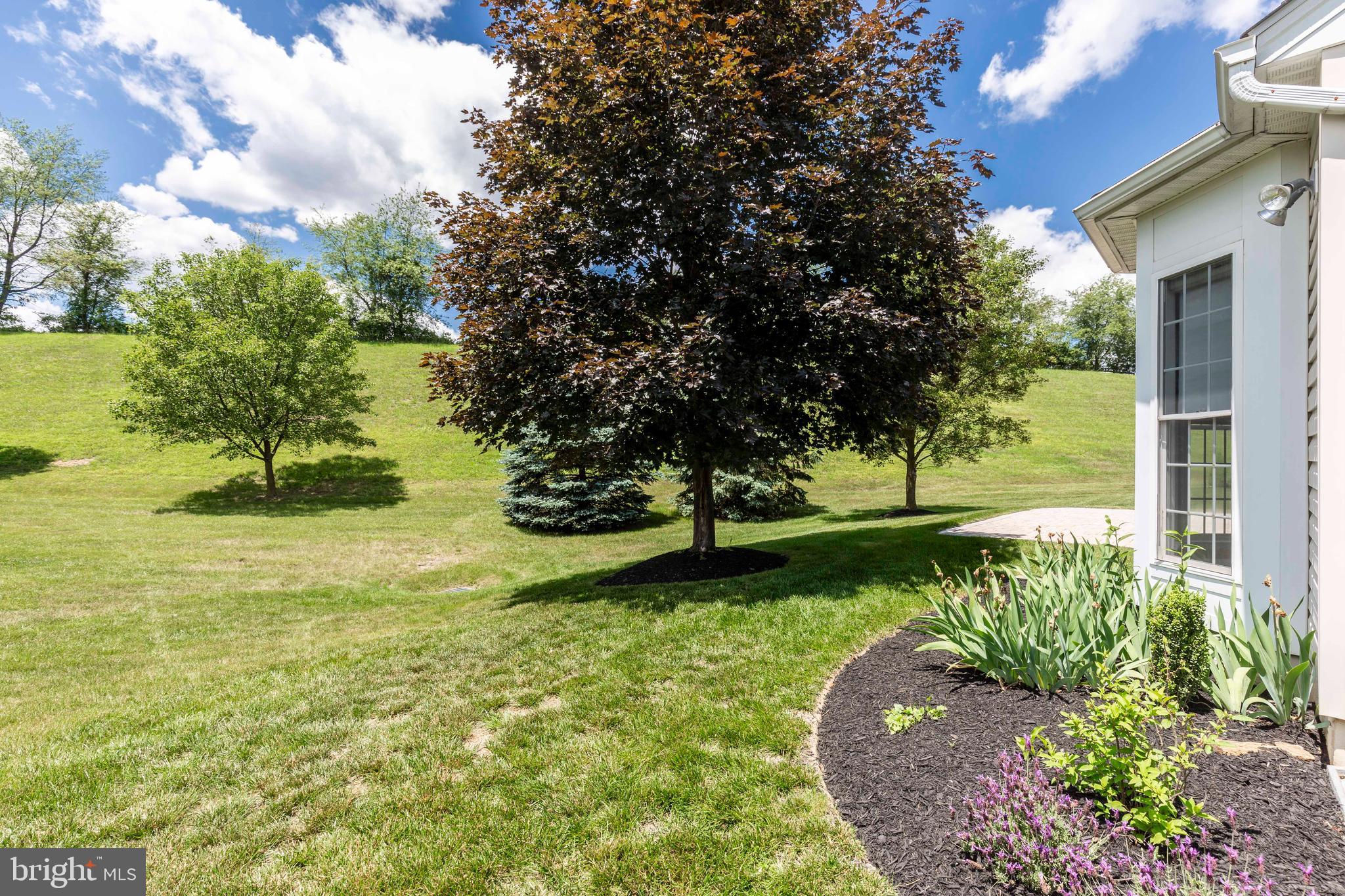 412 High Earls Road Westminster, MD 21158 - Photo 4 of 47 Backs to Mature Trees