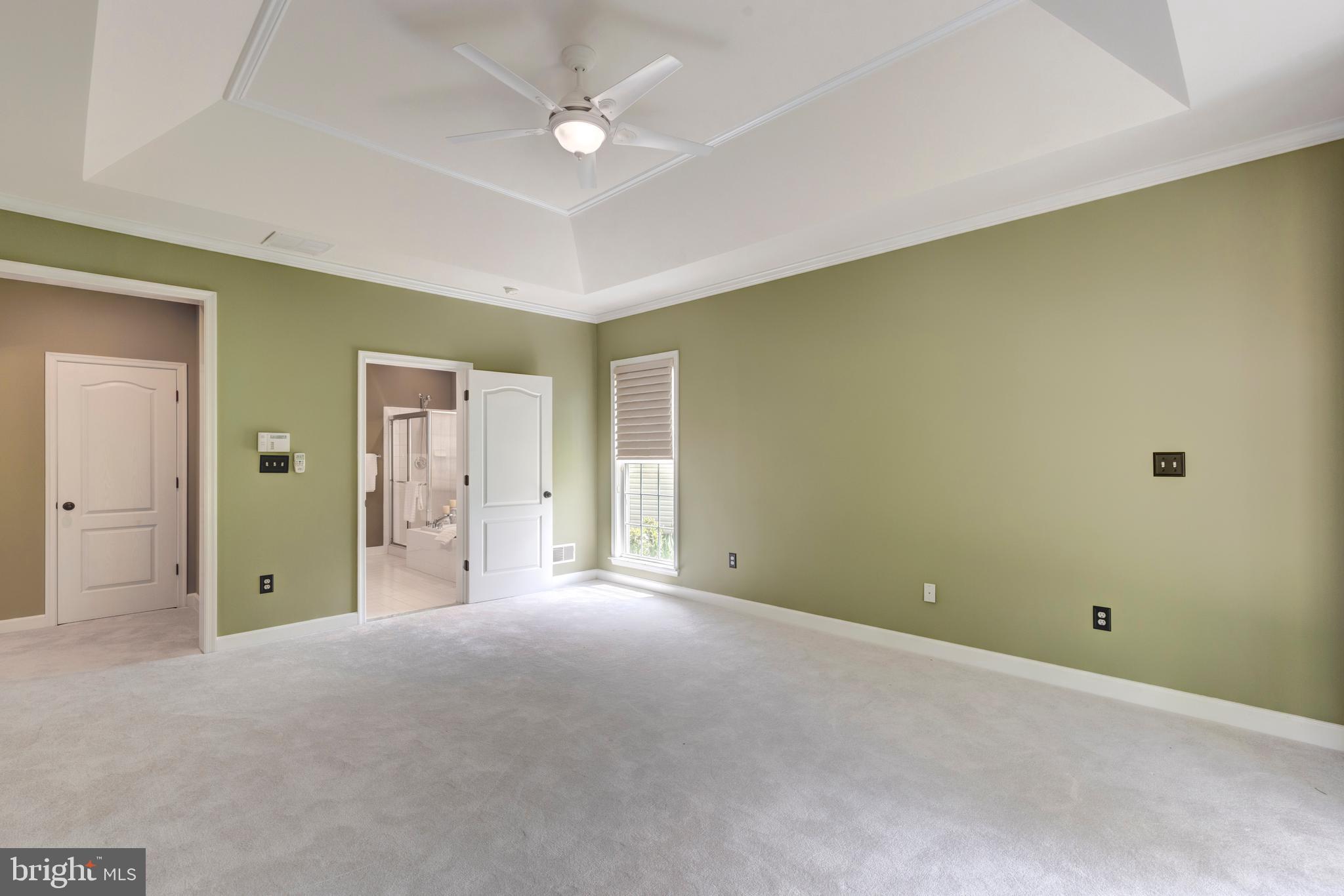 412 High Earls Road Westminster, MD 21158 - Photo 43 of 47 Tray Ceiling and New Carpet