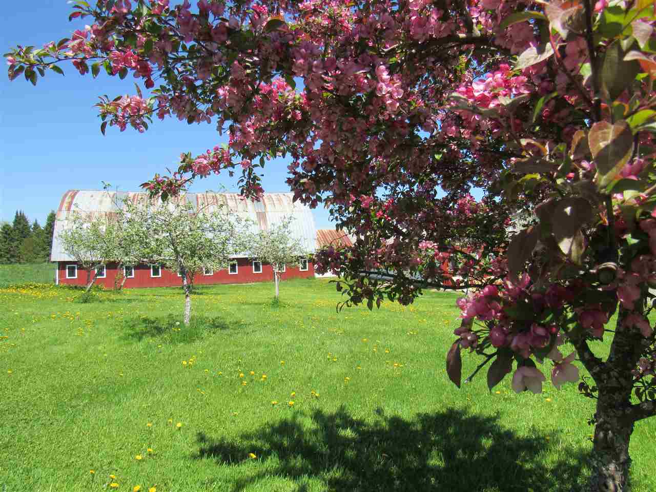 2628 Chilafoux Road Charleston, VT 05860 - Photo 2 of 31