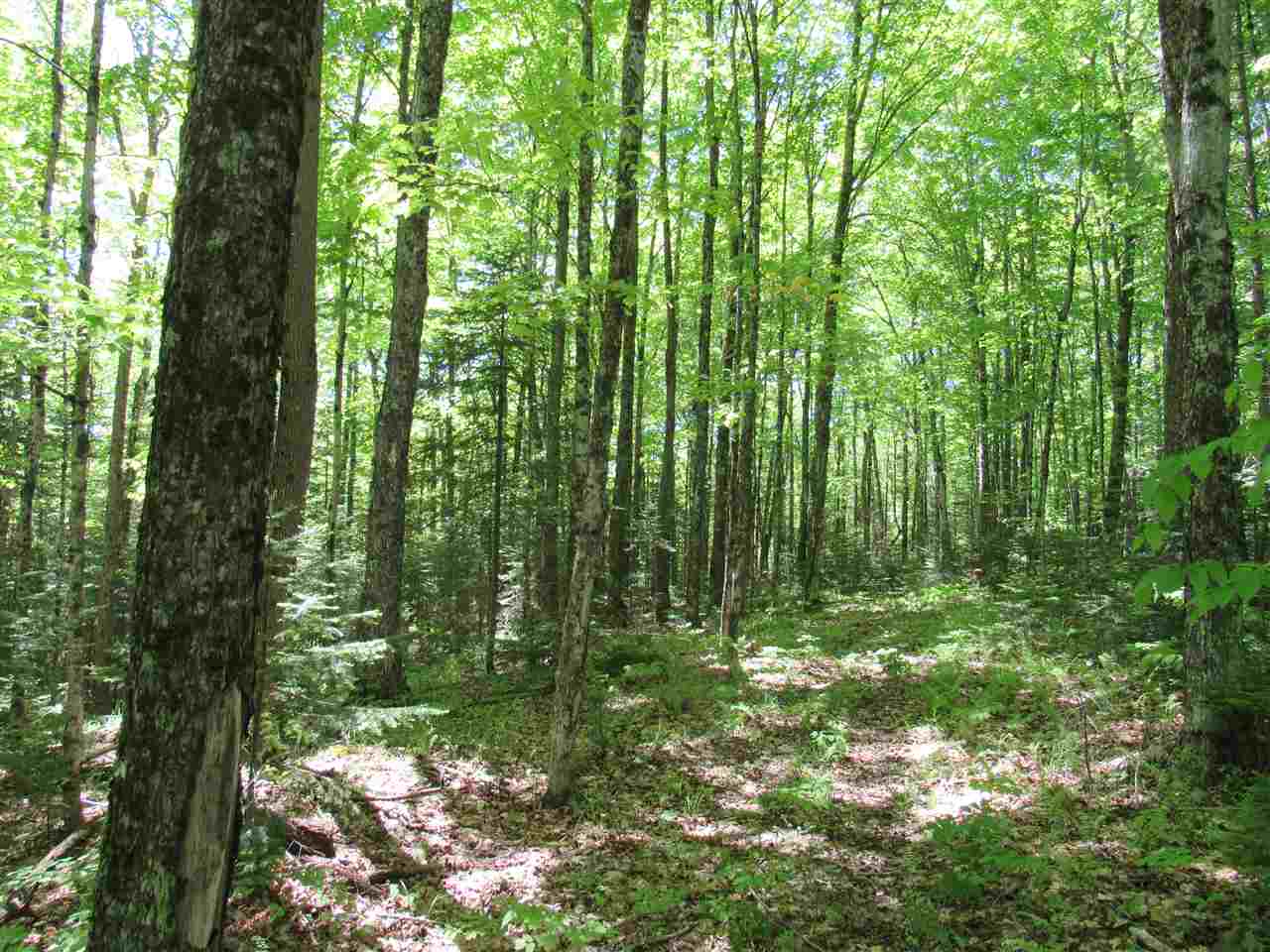 2628 Chilafoux Road Charleston, VT 05860 - Photo 21 of 31