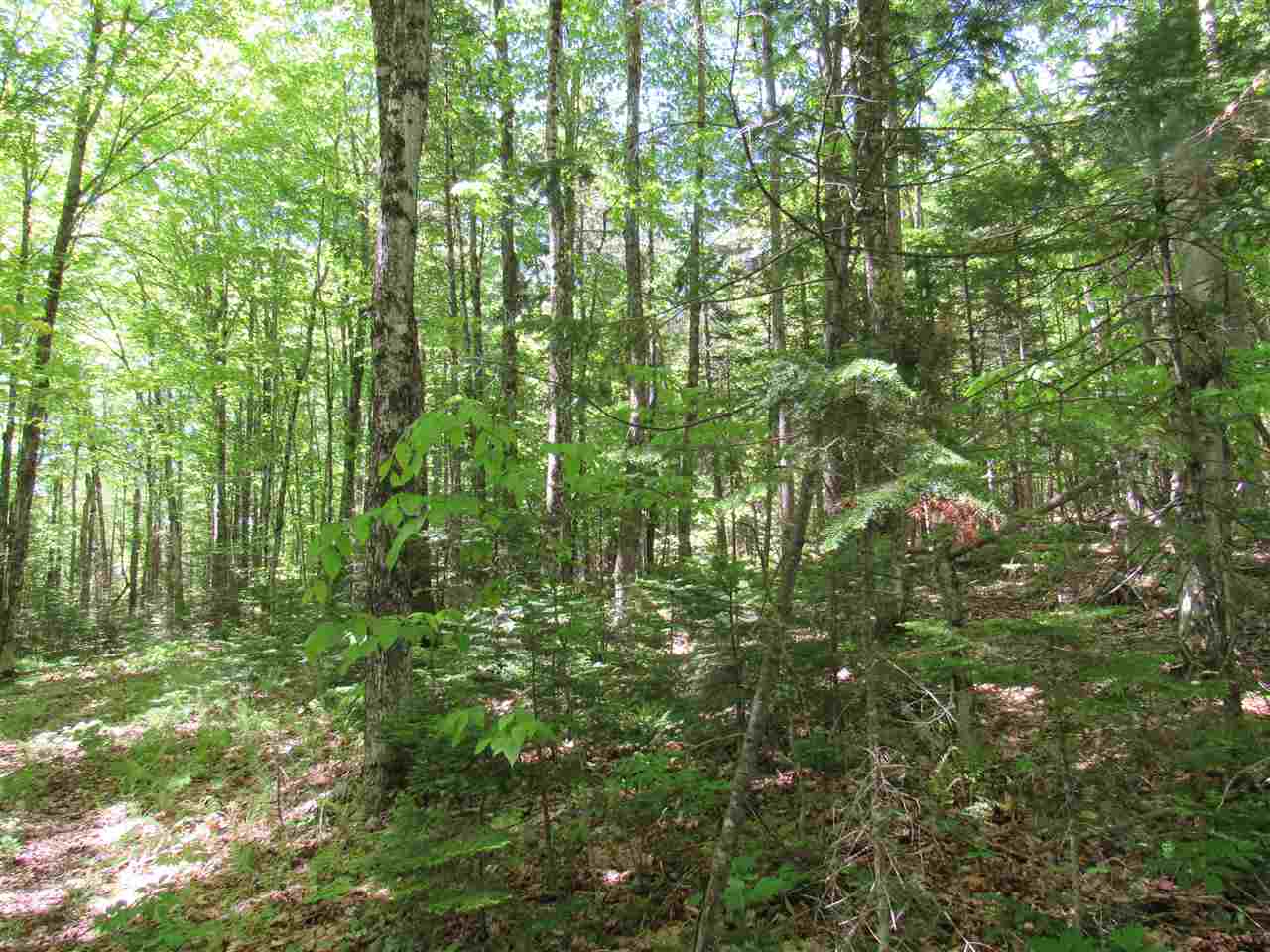 2628 Chilafoux Road Charleston, VT 05860 - Photo 22 of 31