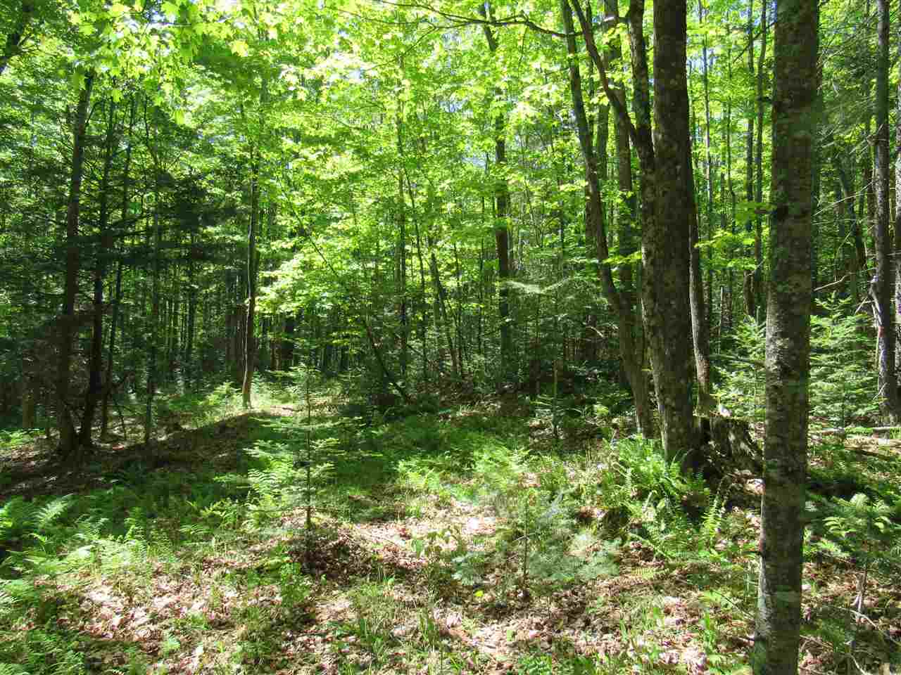2628 Chilafoux Road Charleston, VT 05860 - Photo 23 of 31