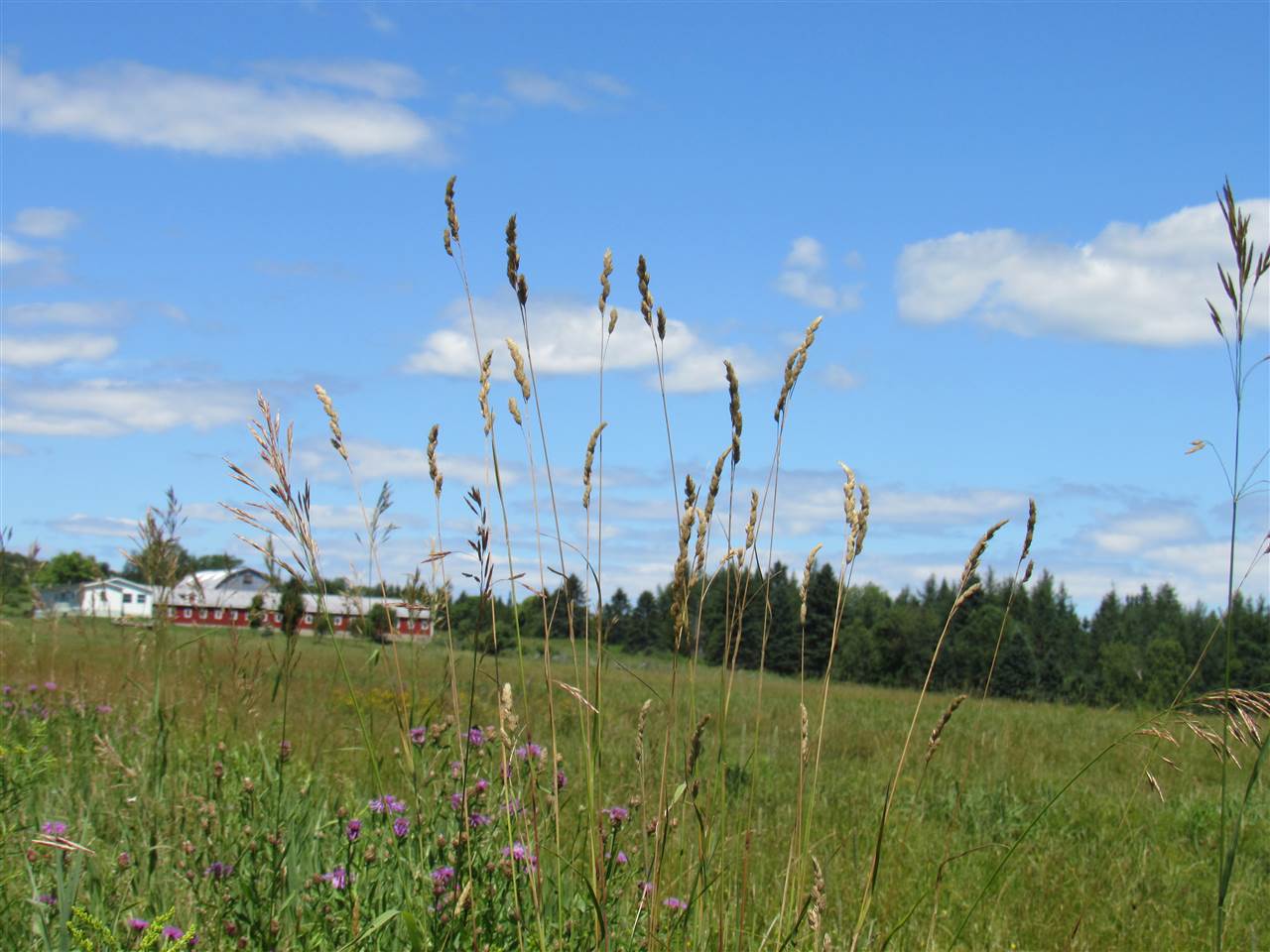 2628 Chilafoux Road Charleston, VT 05860 - Photo 4 of 31