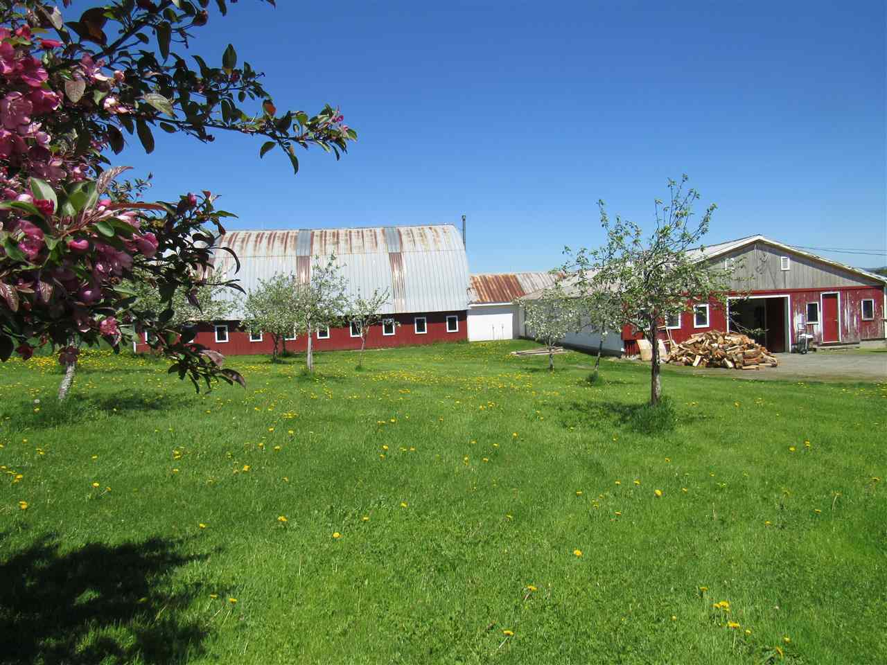 2628 Chilafoux Road Charleston, VT 05860 - Photo 7 of 31