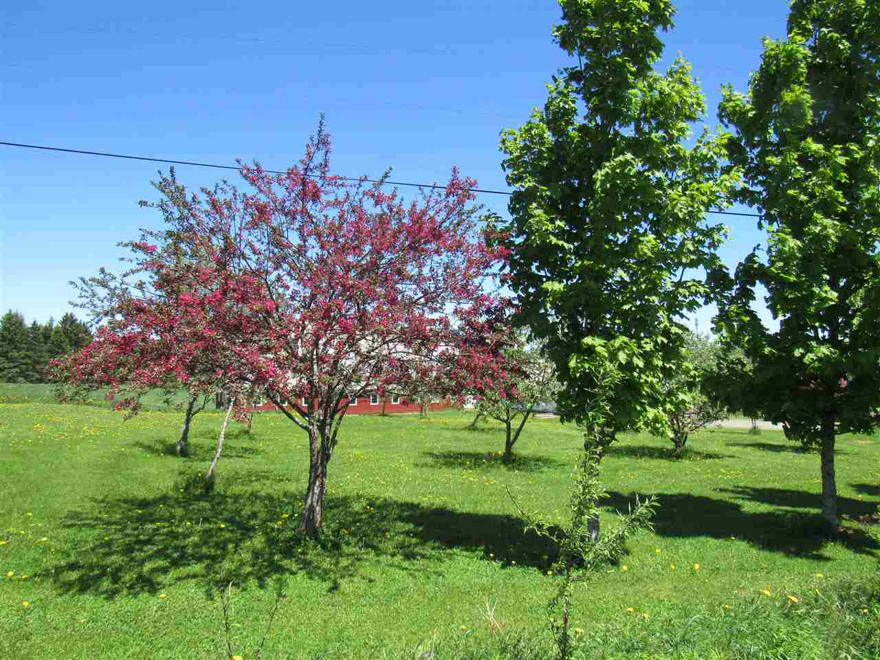 2628 Chilafoux Road Charleston, VT 05860 - Photo 10 of 31
