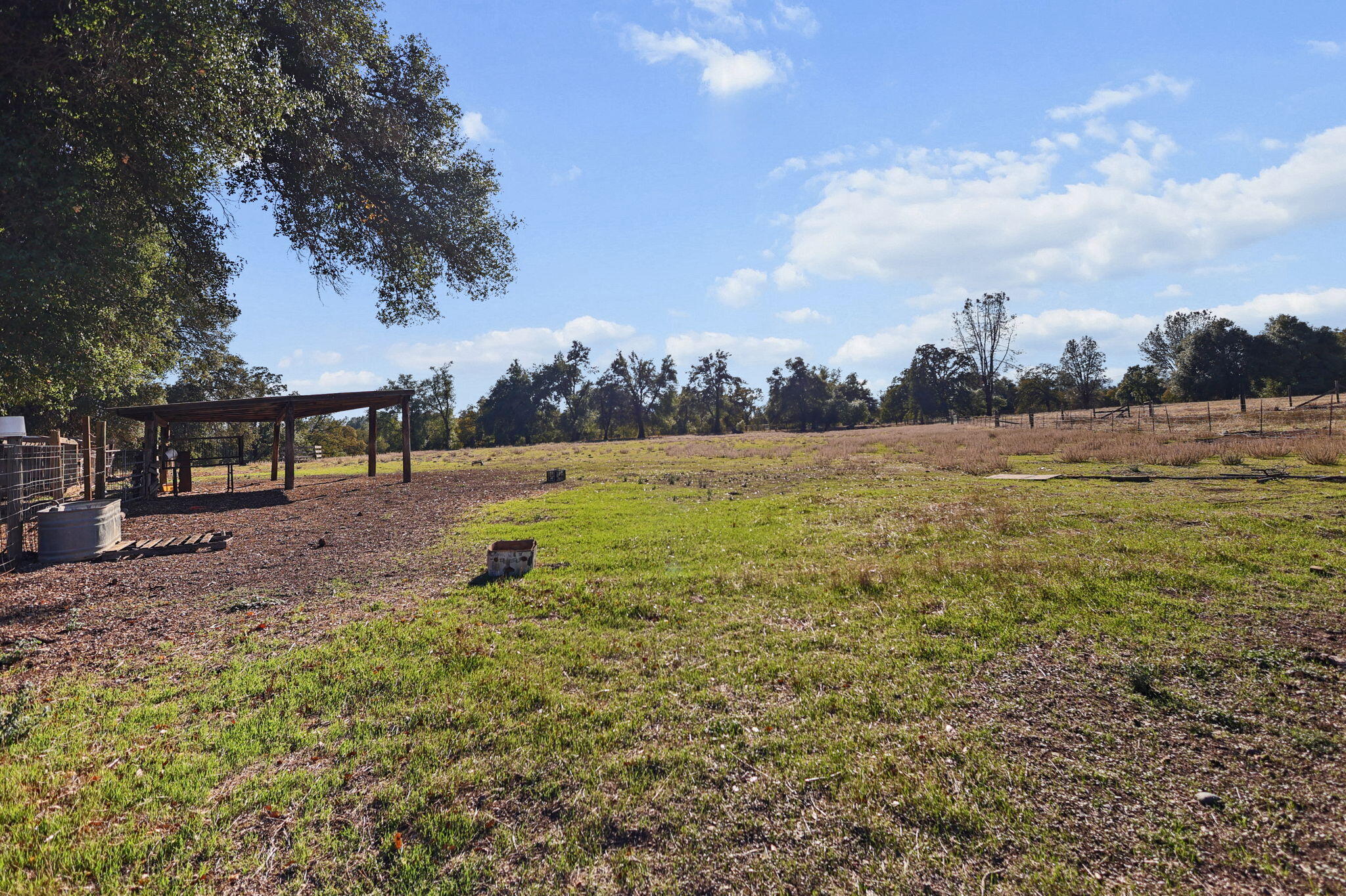 15015 Highway 36, Unit WEST Red Bluff, CA 96080 - Photo 40 of 51 a view of yard with swimming pool and trees in the background