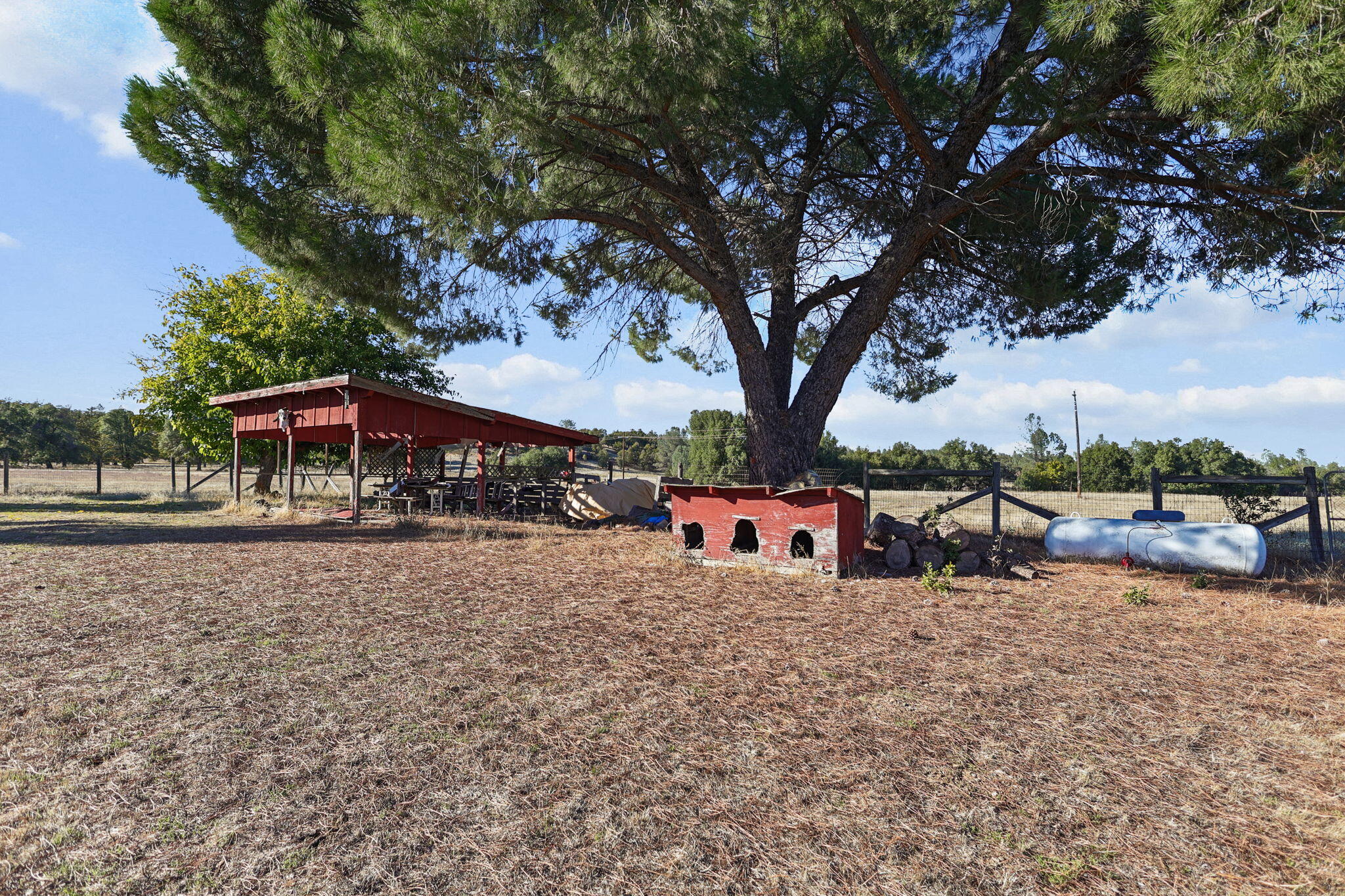 15015 Highway 36, Unit WEST Red Bluff, CA 96080 - Photo 47 of 51 a view of a house with backyard sitting area and covered with trees