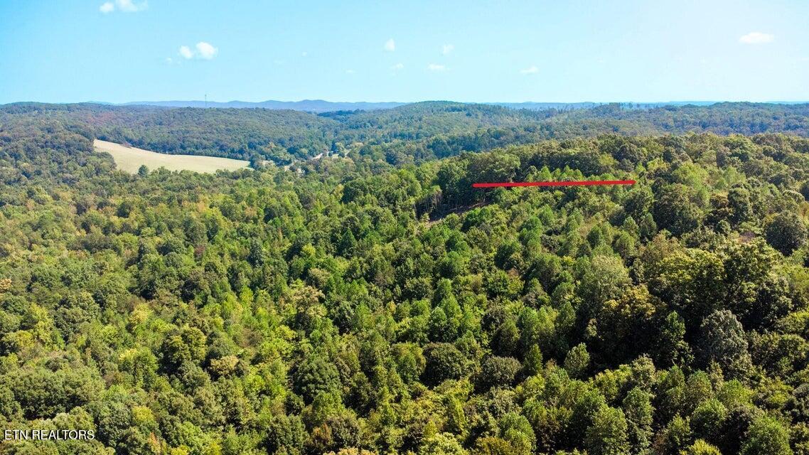 7 Pleasant Hill Road Ten Mile, TN 37880 - Photo 21 of 27 PH 7 Homesite area